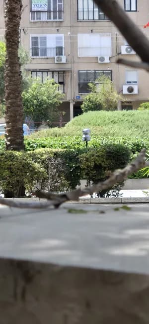 ציר שדרות ירושלים: אכיפה מוגברת, לצד צורך בפתרון רחב